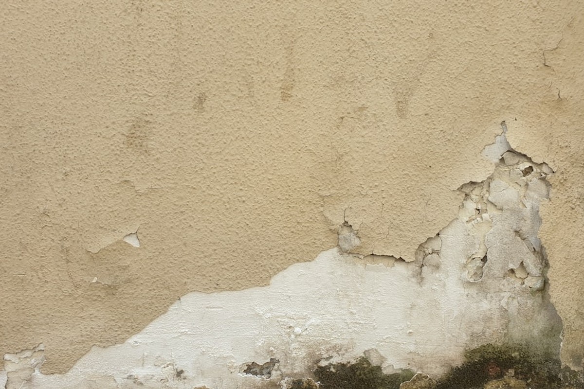 Fassadenreinigung – Bild 1